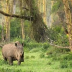 Jelajahi Kekayaan Alam Taman Nasional Banten