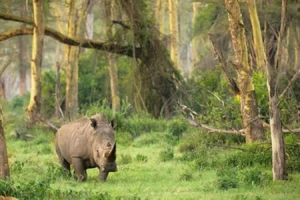 Jelajahi Kekayaan Alam Taman Nasional Banten