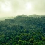 Panduan Lengkap Liburan ke Ujung Kulon, Banten