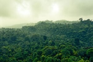 Panduan Lengkap Liburan ke Ujung Kulon, Banten