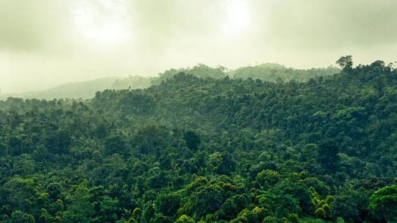 Panduan Lengkap Liburan ke Ujung Kulon, Banten